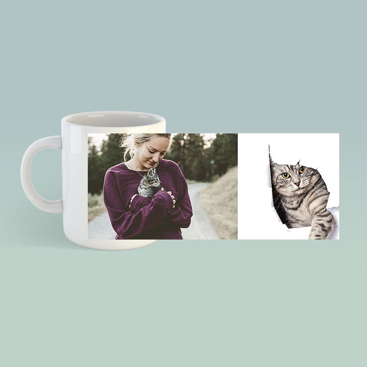 My Dear Willy! 2041 koup f