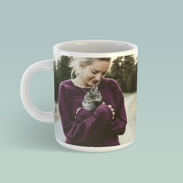 My Dear Willy! My Dear Willy!