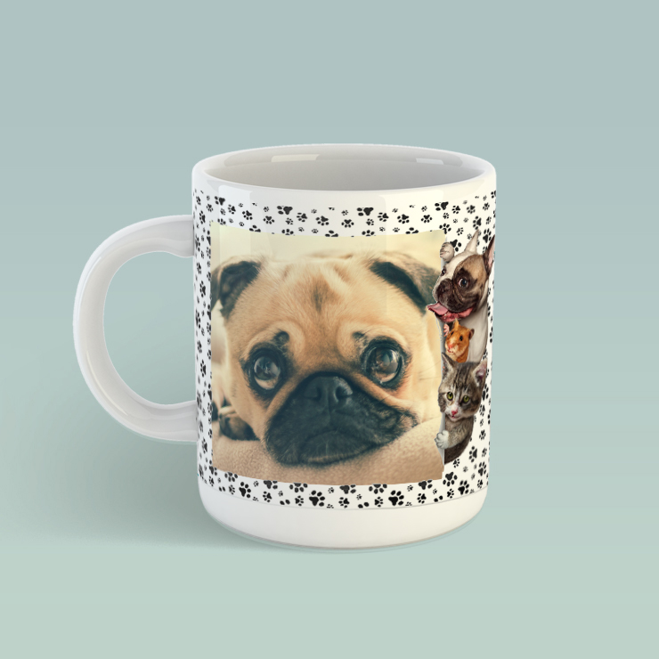 My-Favourite-Dog My-Favourite-Dog