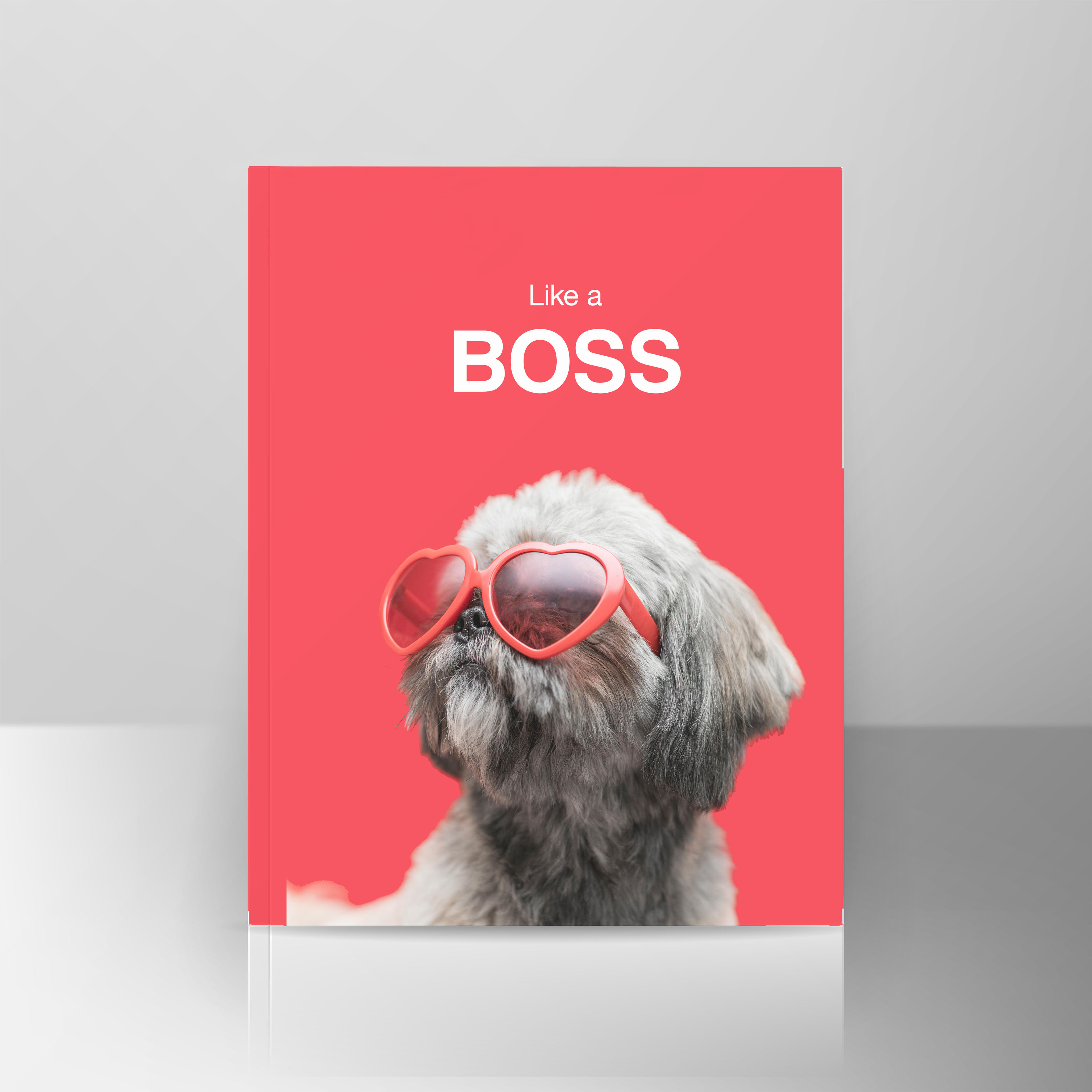 Book Cover Template Vector. Realistic Illustration Isolated On Gray Background. Empty White Clean White Mock Up Template For Design