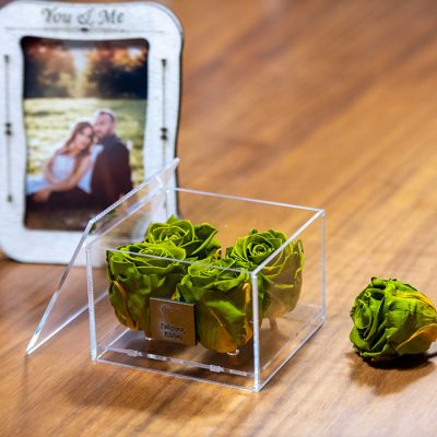 4 EMERALD GREEN G 02