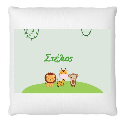 1017 μαξιλαρι